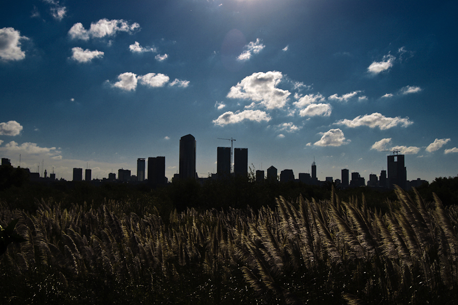 Argentina 2010