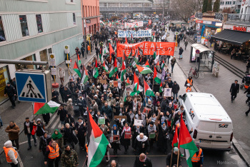 2511-palestinesolidarity-14-29098.jpg