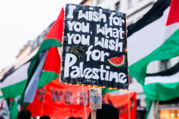 2511-palestinesolidarity-24-29159.jpg