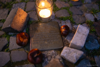 2511-stolperstein-03-805.jpg