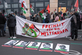 2511-westsaharademo-13-6060.jpg