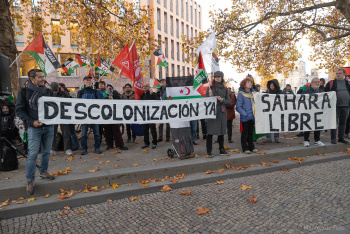 2511-westsaharademo-19-6081.jpg