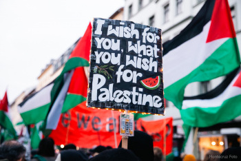 2511-palestinesolidarity-24-29159.jpg