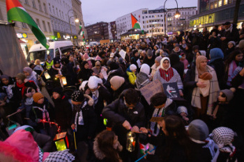 2312-palesdemo-04-3362.jpg