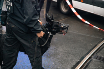 2508-hackeschermarkt-23-22110.jpg